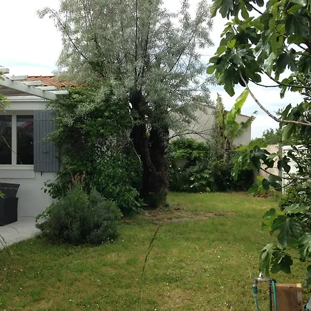 Maison Cosy Entre Vignes Et Ferienhaus